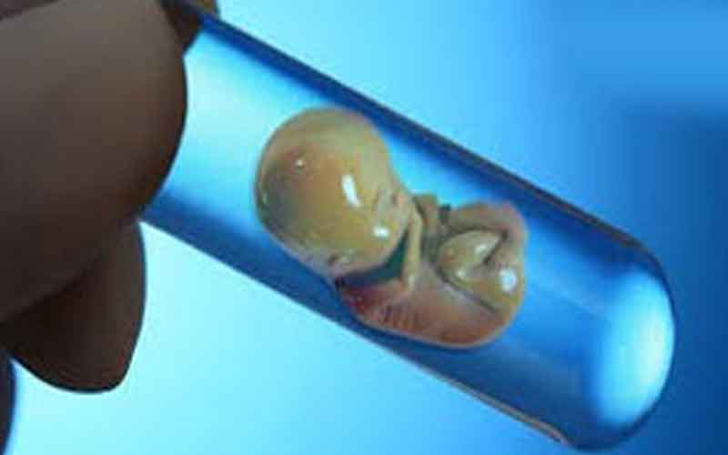 اولین جنین مصنوعی جهان